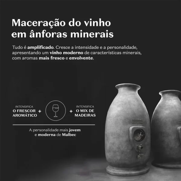 Malbec Icon Desodorante Colônia 100ml