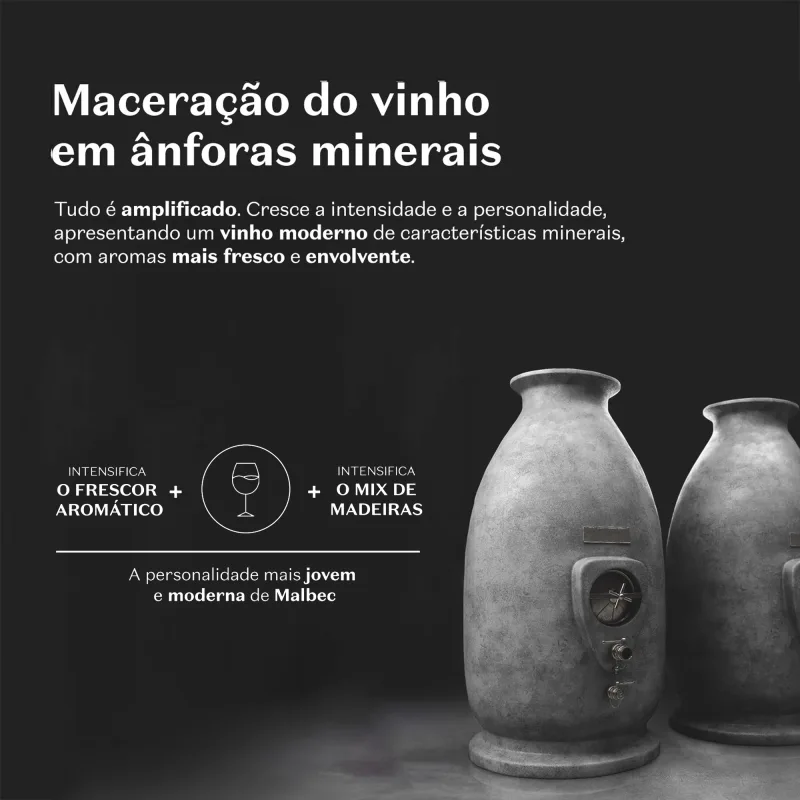 Malbec Icon Desodorante Colônia 100ml